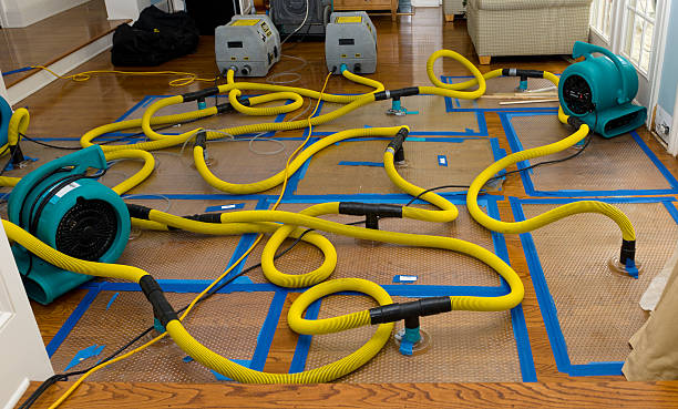 Professional Basement Flood Cleanup technician working in West Ossipee, NH